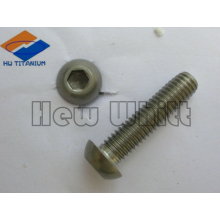 high end Ti6AI4V hex socket button screws-full thread